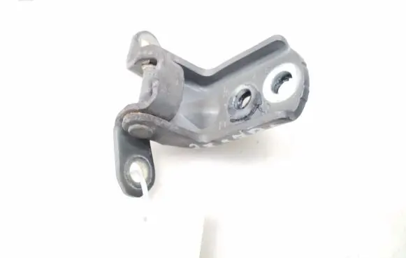 Nissan Juke I F15 Front door lower hinge 