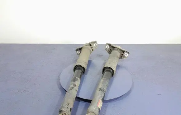 Rear shock absorber/damper