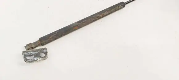 Hyundai Santa Fe Tailgate/trunk strut/damper