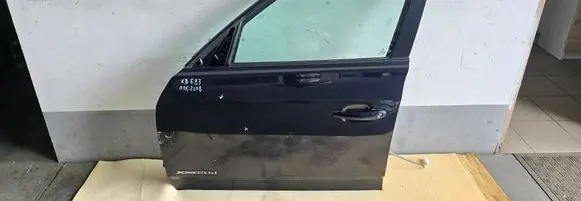 BMW X3 E83 Front door