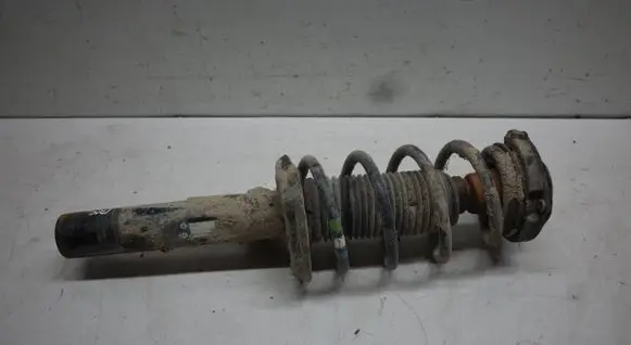 Volkswagen Tiguan Front shock absorber/damper 5N0413031T