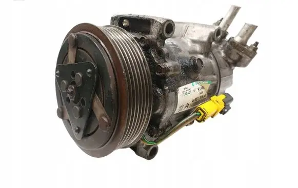 Peugeot 206 Air conditioning (A/C) compressor (pump) 9655191580