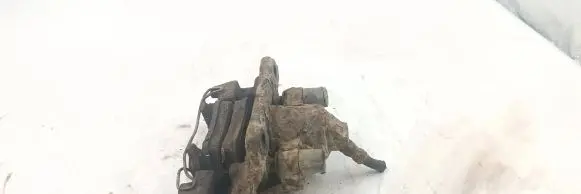 Volvo S60 Rear brake caliper