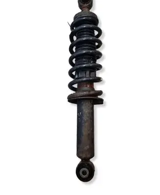 Peugeot 407 Rear shock absorber with coil spring