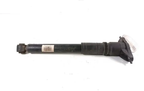 Citroen C4 III e-C4 Rear shock absorber/damper 9847556380