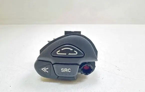 Multifunctional control switch/knob