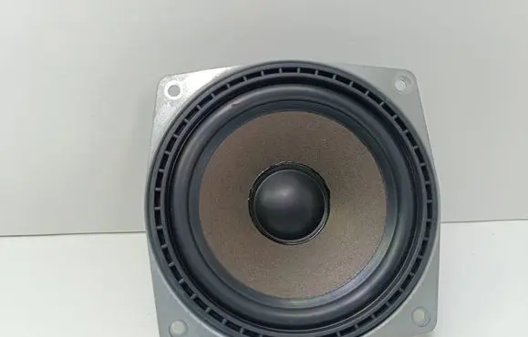 BMW 5 E39 Rear door speaker 8369265