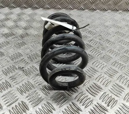 Audi Q4 Sportback e-tron Rear coil spring 1EA511103AA