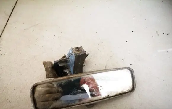 Renault Clio III Rear view mirror (interior) e200708