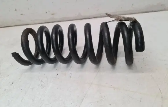 Chrysler 300 - 300C Rear coil spring 04895314AB