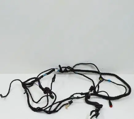 Tesla Model S Other wiring loom