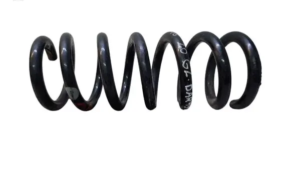 Rear coil spring
