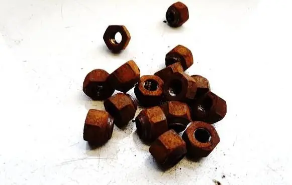 Nuts/bolts