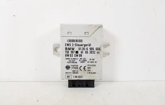 BMW 5 E39 Other control units/modules 61356905668