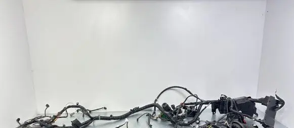 Engine installation wiring loom