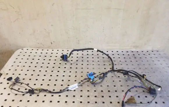 Citroen DS4 Other wiring loom T1008911F