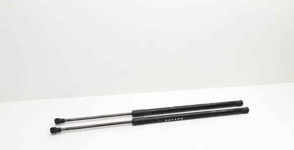 Opel Antara Tailgate/trunk strut/damper 96661403