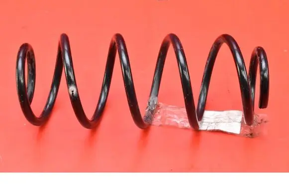 Rear coil spring