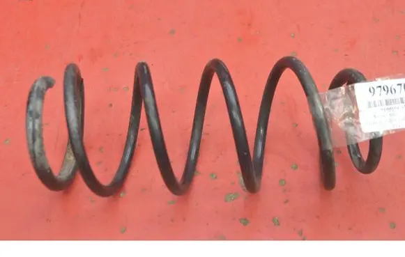 Rear coil spring