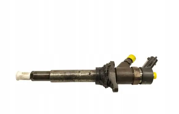 Peugeot Partner Fuel injector 0445110259