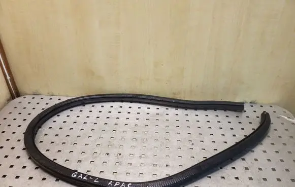 Volkswagen PASSAT CC Rear door rubber seal (on body) 