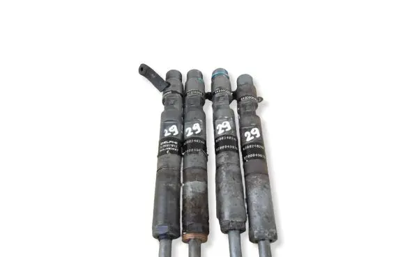Renault Kangoo I Fuel injector EJBR02101Z 2624JW05W07