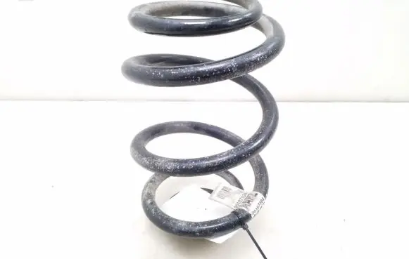 Opel Mokka Rear coil spring 95107104