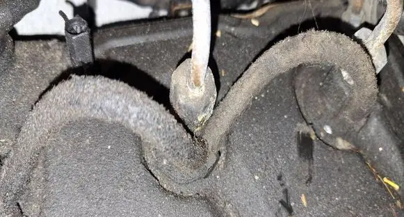 Audi A6 S6 C5 4B Fuel injector 
