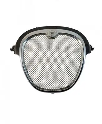 Jaguar S-Type Front grill 80205