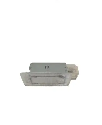 Nissan Murano Z52 Front door interior light 89M