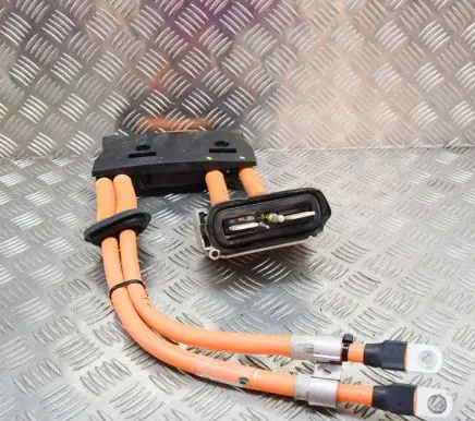 Tesla Model S Other wiring loom 100334700C