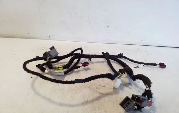 Other wiring loom