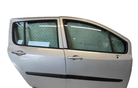 Renault Modus Front door
