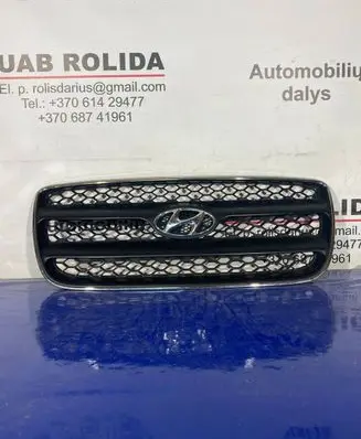 Hyundai Santa Fe Front bumper upper radiator grill E865612B010