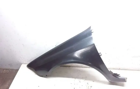 Renault Laguna II Fender