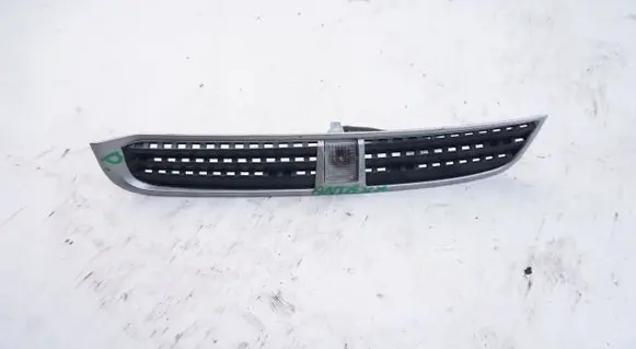 Front fender indicator light
