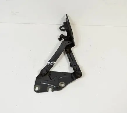Volkswagen Golf V Engine bonnet/hood hinges 5M0823302