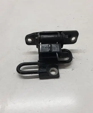 Volkswagen Phaeton Rear door lower hinge 3D4833412B