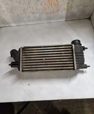 Citroen Jumpy Intercooler radiator 1440010980