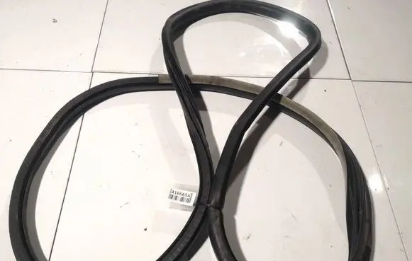 Renault Laguna III Rubber seal rear door 