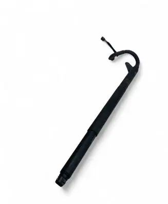 Volkswagen Tiguan Tailgate strut 5NA827851A