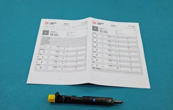 Renault Megane II Fuel injector EJBR01801A IMPRK1439427