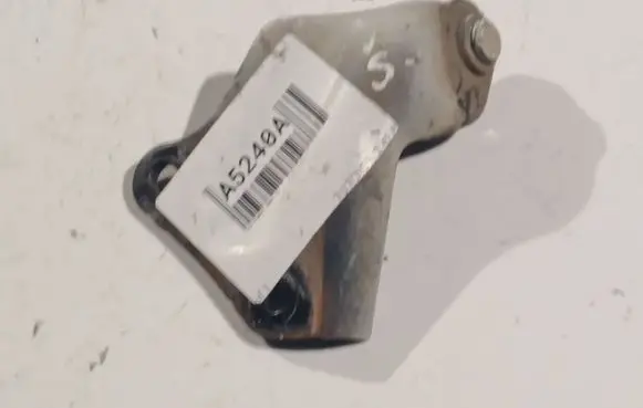 Rear door lower hinge