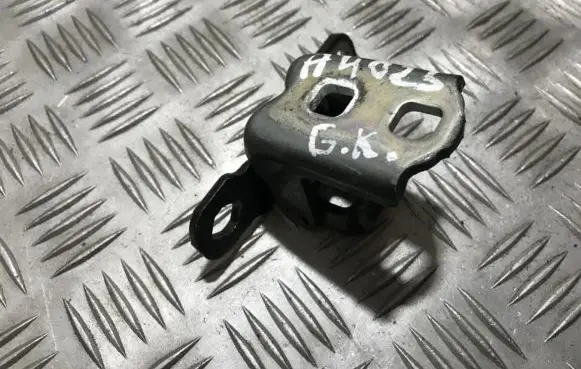 Peugeot 406 Rear door lower hinge
