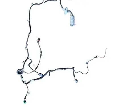 Rear door wiring loom