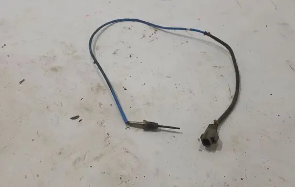 Ford Ranger Exhaust gas temperature sensor EB3G12B591CB