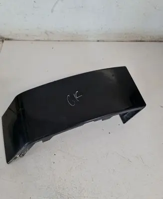Rear/tail light trim molding