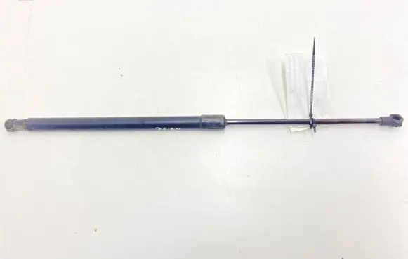 Tailgate strut