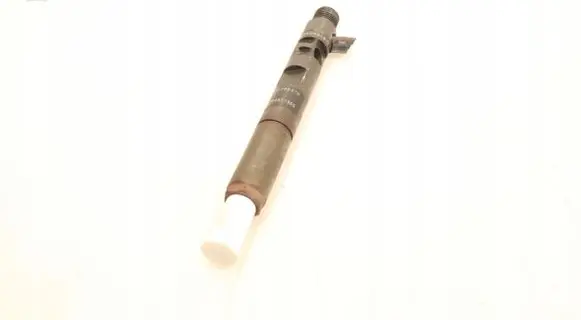 Dacia Logan I Fuel injector 28237259