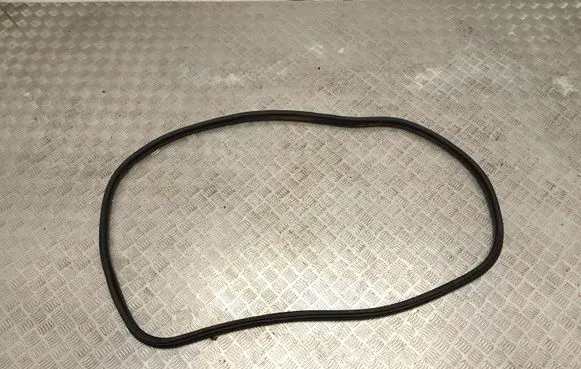 Peugeot 2008 I Front door rubber seal 9673084680